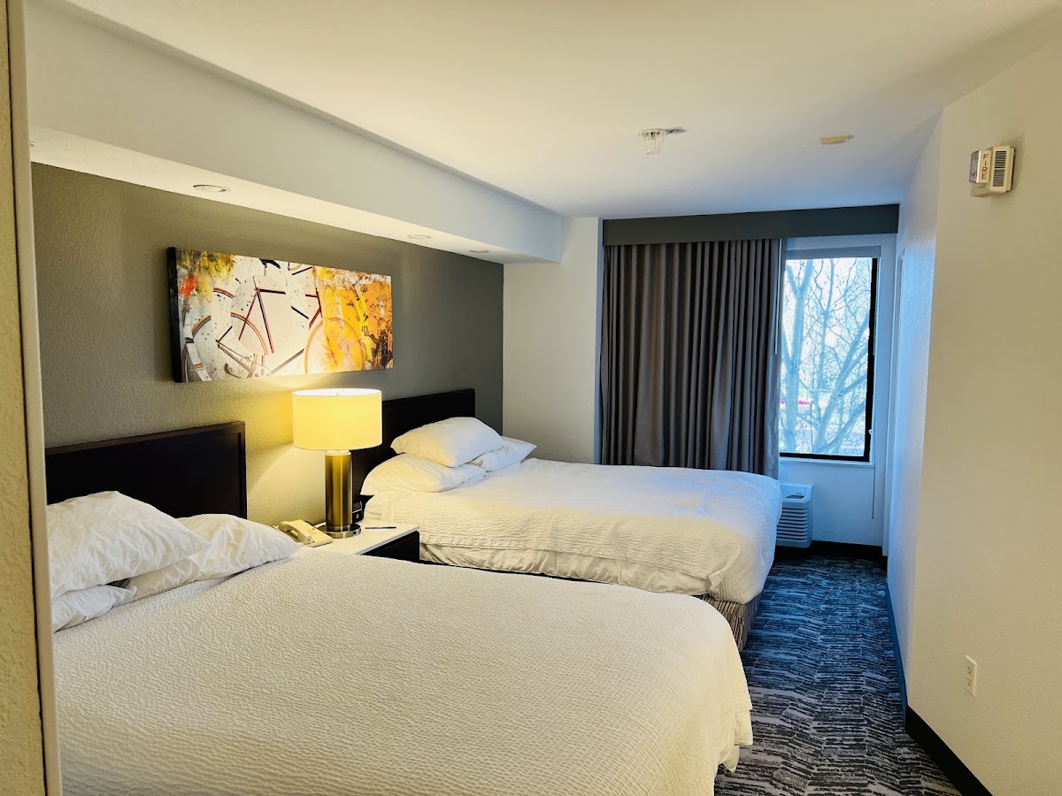 SpringHill Suites Portland Hillsboro — photo 2